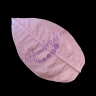 Молд - лист садовой розы, маленький, 4,9*8,4см