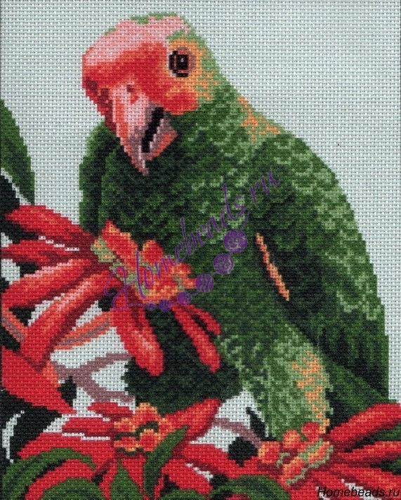 471 Канва с рисунком р.24/30 Зеленый попугай