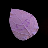 Молд - лист гортензии, маленький, 5,5*7,2см