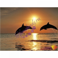 Алмазная живопись «Игры дельфинов» 40х30 см