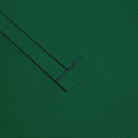 Фетр жесткий 1 мм, 20*30 см, зелёный 122